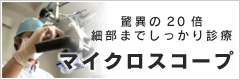 驚異の20倍細部までしっかり診療「マイクロスコープ」